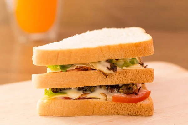 揚げ昆虫の肉とモッツァレラチーズのサンドイッチを作った, — ストック写真