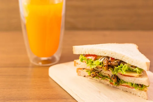 Sandwich gjord av stekt insekt kött och mozzarella ost, — Stockfoto
