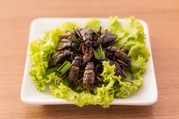 Kızarmış böcekler - kriket böcek kızarmış sonra pandan ile çıtır 