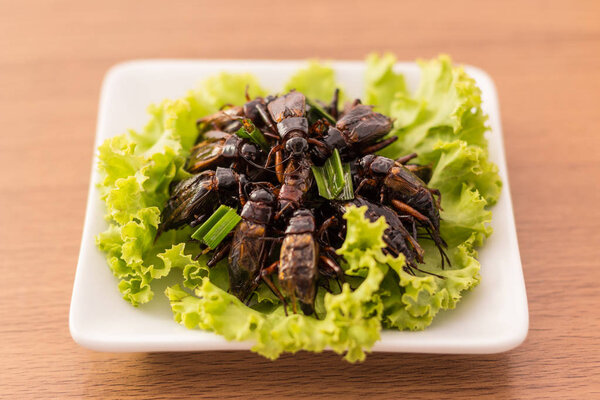 Fried insects - Cricket insect crispy with pandan after fried 