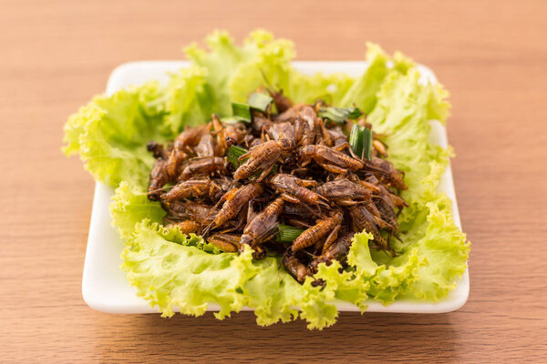 Fried insects - Cricket insect crispy with pandan after fried 