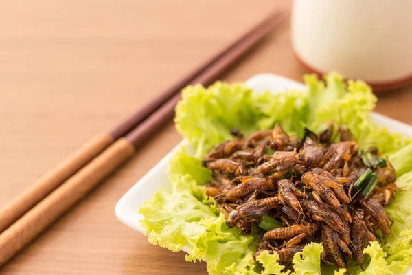 Insectos fritos - Cricket insecto crujiente con pandan después de frito — Foto de Stock