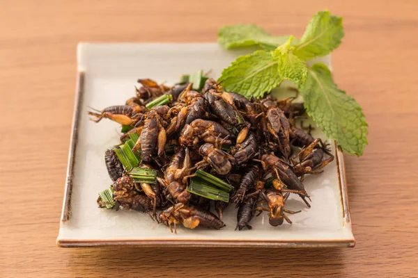 Fried insects - Cricket insect crispy with pandan after fried — Stock Photo, Image