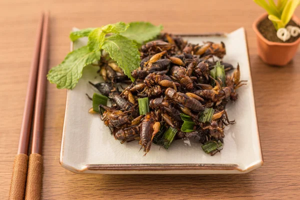 Жареные насекомые - Сверчковое насекомое хрустящее с панданом после жарки — стоковое фото