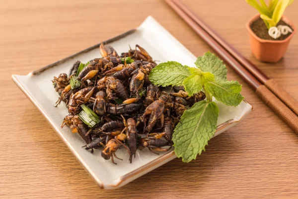 Gebakken insecten - Cricket insect knapperig met pandan nadat gebakken — Stockfoto