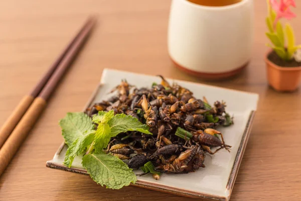Smažený hmyz - kriket hmyzu s pandan po smažené křupavé — Stock fotografie