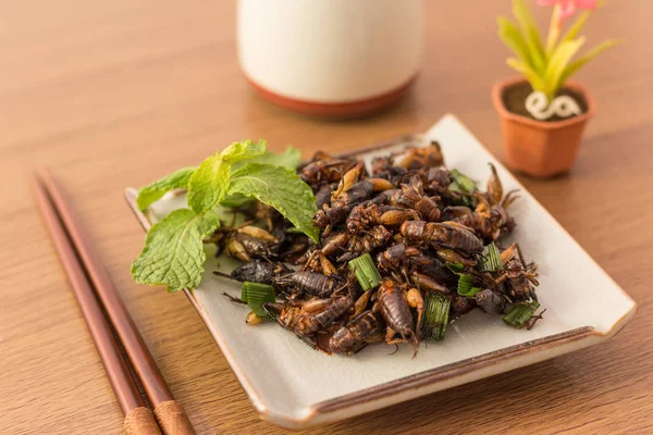 Kızarmış böcekler - kriket böcek kızarmış sonra pandan ile çıtır 