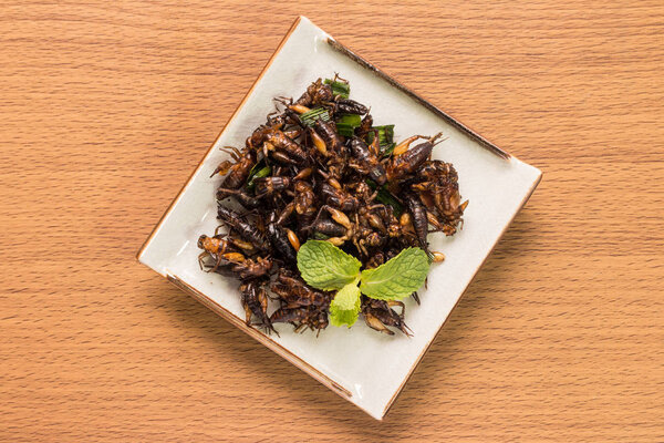 Food insect, Fried insects or Cricket insect crispy