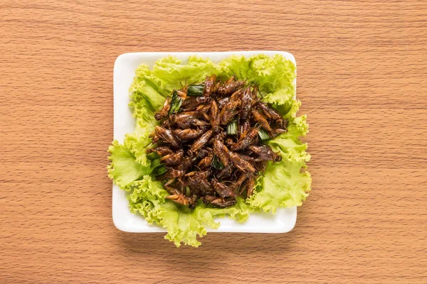 Insectos alimentarios, insectos fritos o insectos grillos crujientes — Foto de Stock