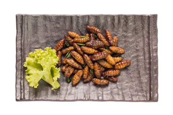 Inseto alimentar, insetos fritos ou inseto cricket crocante — Fotografia de Stock