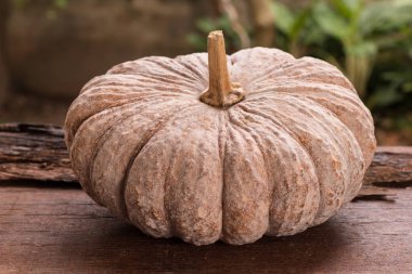 Ahşap zemin üzerinde balkabağı