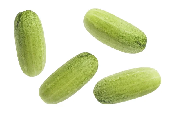 Groene komkommer geïsoleerd achtergrond — Stockfoto