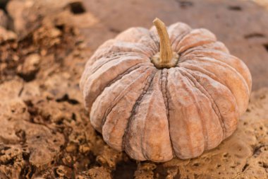 Ahşap zemin üzerinde balkabağı