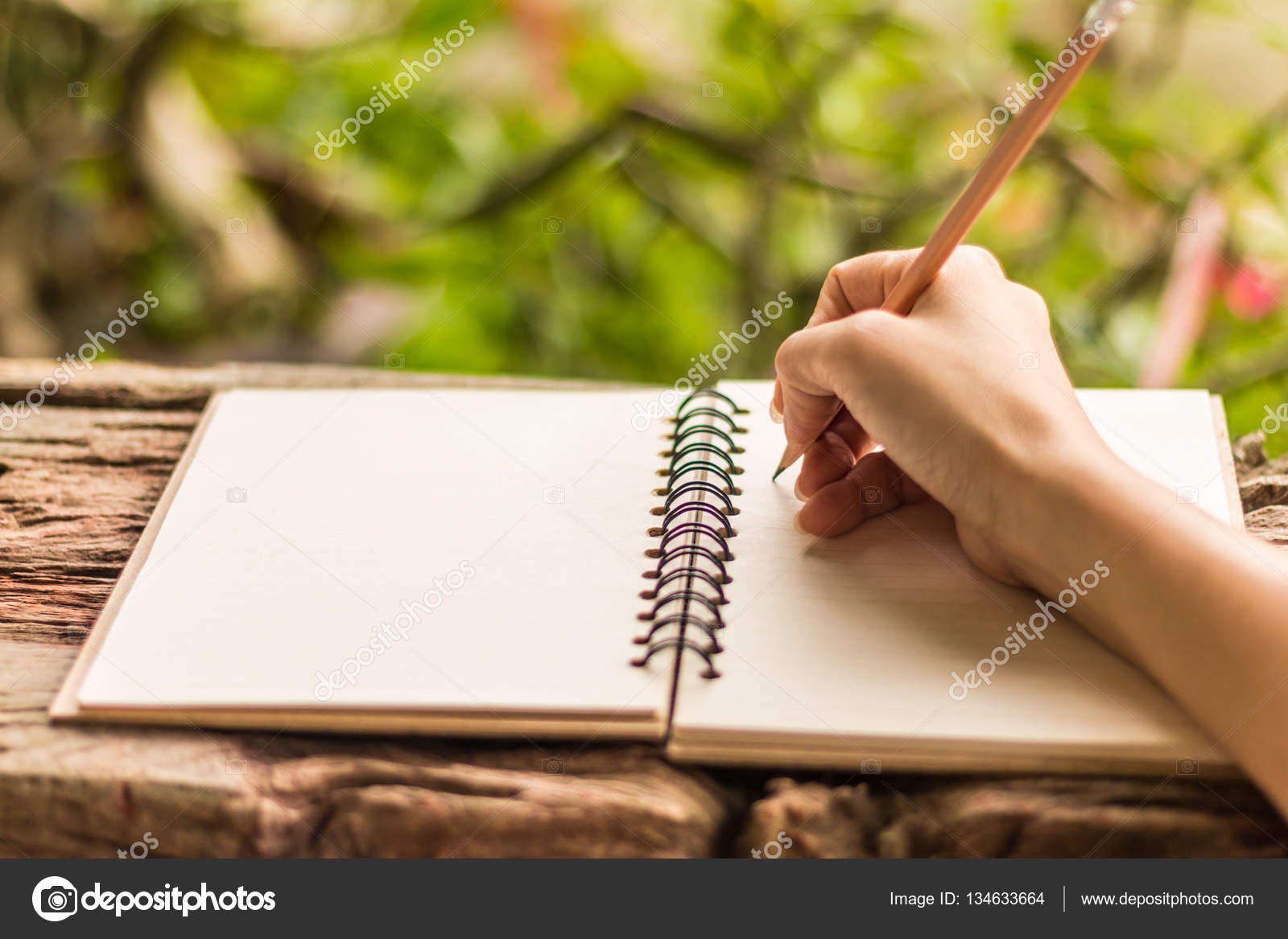 Drawing hand nature paper girl hi-res stock photography and images