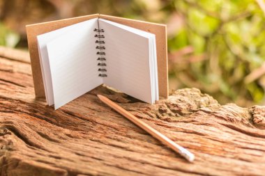 Boş not defteri - küçük boş not defteri açın ve yeşil doğa arka plan ile eski ahşap doku kalem. Portre, Select odak.