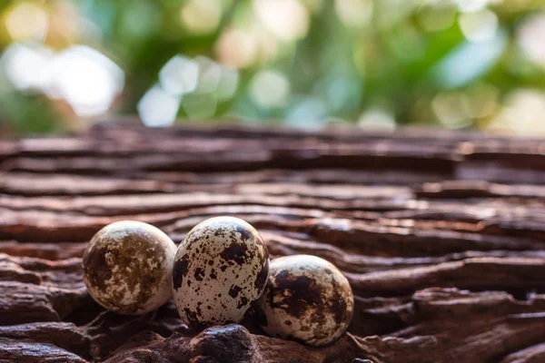 Vaktelägg - vaktel ägg på gamla bruna träytan — Stockfoto