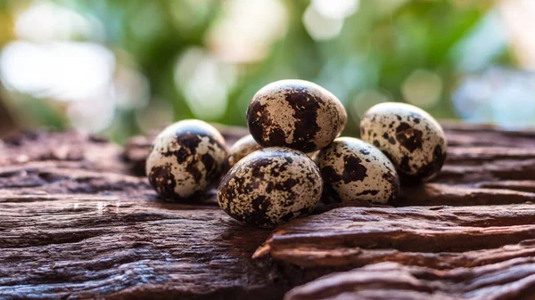 Vaktelägg - vaktel ägg på gamla bruna träytan med grön suddig — Stockfoto