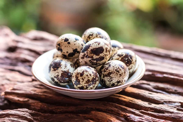 Vaktelägg - vaktel ägg i en keramikskål på gamla bruna trä yta — Stockfoto