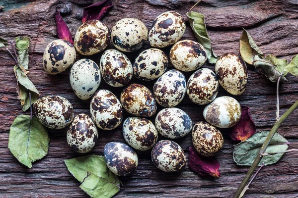 Vaktelägg - gruppen av vaktel ägg på gamla bruna träytan — Stockfoto