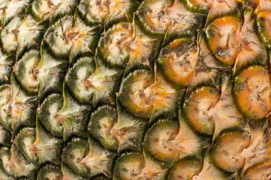 ananas derisi