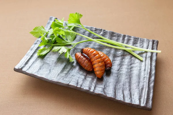 Жареный червь, еда для насекомых с овощами в коричневой миске. Close — стоковое фото