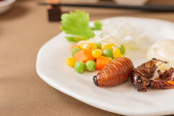 Жареный червь, корм для насекомых с овощным салатом в белой миске . — стоковое фото