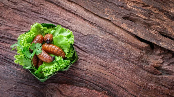 Fried Worm, Insect food with vegetables in the bowls made from b