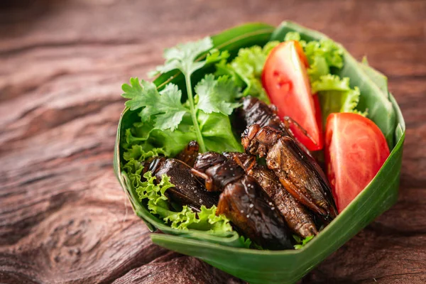 Stekt mask, insekt mat med grönsaker, tomat i skålarna galna — Stockfoto
