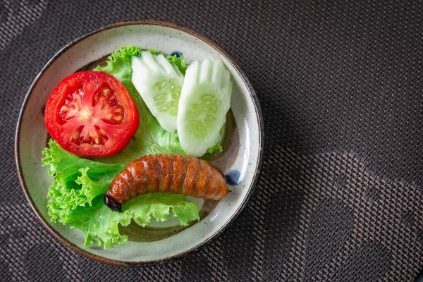 油炸蠕虫，在白碗里放蔬菜沙拉的昆虫食物. — 图库照片