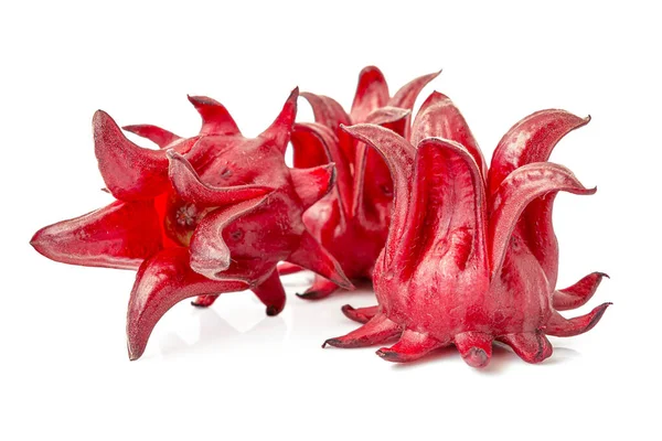 Roselle beyaz bir arka planda izole edildi. Yakın çekim.