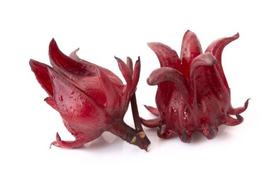 Roselle, Hibiscus Sabdariffa Kırmızı meyve çiçeği