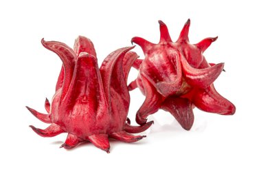 Roselle beyaz bir arka planda izole edildi. Yakın çekim.