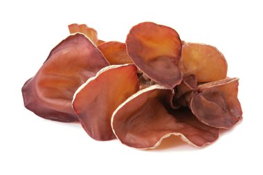 Ağaç kulak, beyaz arka planda izole edilmiş yenilebilir mantar. Clo