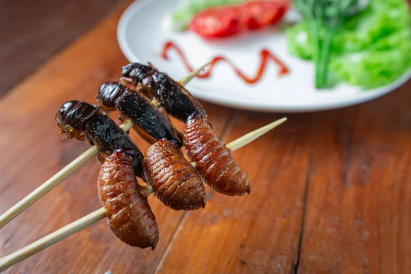 Kızarmış solucan, şişte böcek yemi. Yakın çekim, Seçici odak.