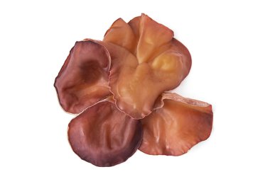 Ağaç kulak, beyaz arka planda izole edilmiş yenilebilir mantar. Clo