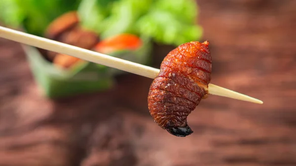 Fried Worm, Insect food in the skewer. Closeup, Selective focus.