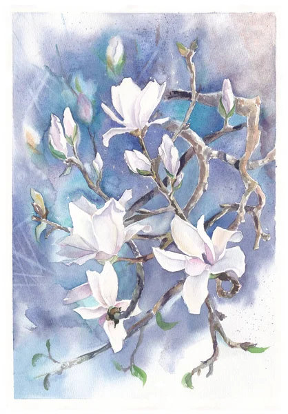 Magnolia adalah lukisan cat air yang mekar. Cabang daun dari semak musim semi pada background.Watercolor indah tangan dicat kartu bunga. Ilustrasi musim semi untuk desain, cetak, kain — Stok Foto