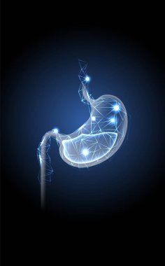 Asit sindirimli sağlıklı insan midesi. Düşük polimer kablo tipi. Gastrik bağırsak yolu tedavisi. Tıpta geleceğin teknolojisi. Silüet iç sindirim organına bağlı parçacıklar