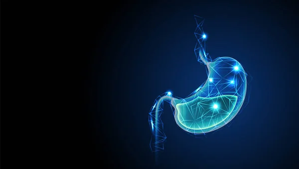 Estômago Humano Saudável Com Ácido Digestivo Baixo Estilo Wireframe Poli — Vetor de Stock