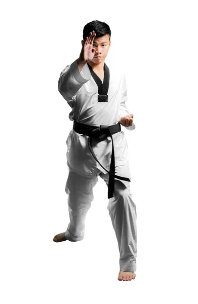 Portrait d'un bel homme asiatique avec ceinture noire en taekwondo. Iso — Photo