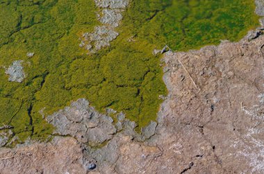 Çöl, kavramı ekolojik felaket ve afet kırık kuru toprakta kirli su su birikintileri