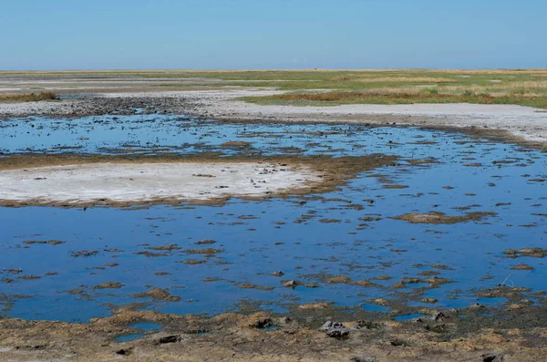 Paesaggio steppa panoramica con erba gialla essiccata e stagni di essiccazione con acqua sporca e cielo blu nella regione di Kherson, Ucraina — Foto Stock