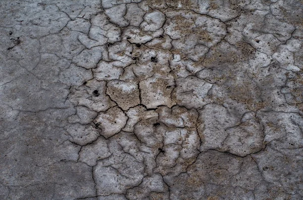 Colorful dry saline soil surface with salt stainx and deep black cracks Royalty Free Stock Images