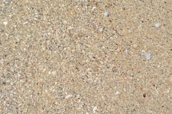Ondas de água cristalina do mar cintilantes ao sol do meio-dia. Água ondulada com areia de fundo e conchas vistas debaixo d 'água — Fotografia de Stock