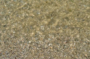 Berrak deniz suyu öğlen güneşin altında köpüklü dalgaların. Sakinleştirmek su alt kum ve su altında görülen kabukları ile