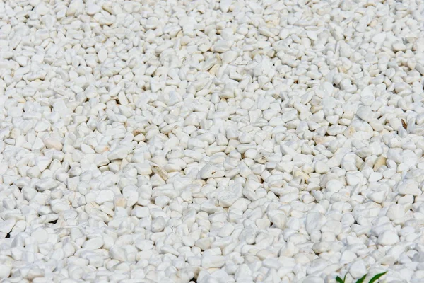 White gravel pebble stone texture for a garden pathway — Stock Photo, Image