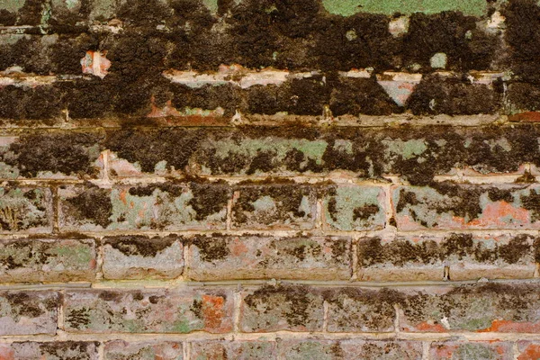 Alte grüne verwitterte schäbige Ziegelwand mit beschädigtem Putz Hintergrundstruktur — Stockfoto