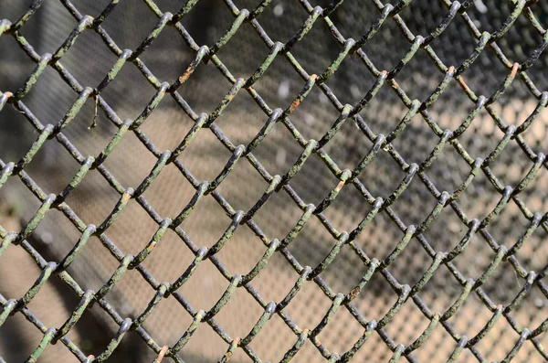 Metal Wire Mesh Chain Link Fence Bacgkround Shallow Depth Field — Stock Photo, Image