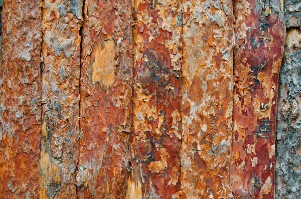 Fundo de cerca de madeira feita de troncos de pinho descascados, textura de madeira natural — Fotografia de Stock