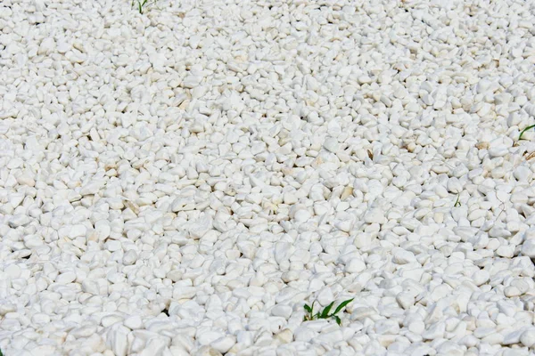 Textura de piedra de grava blanca para un camino de jardín —  Fotos de Stock